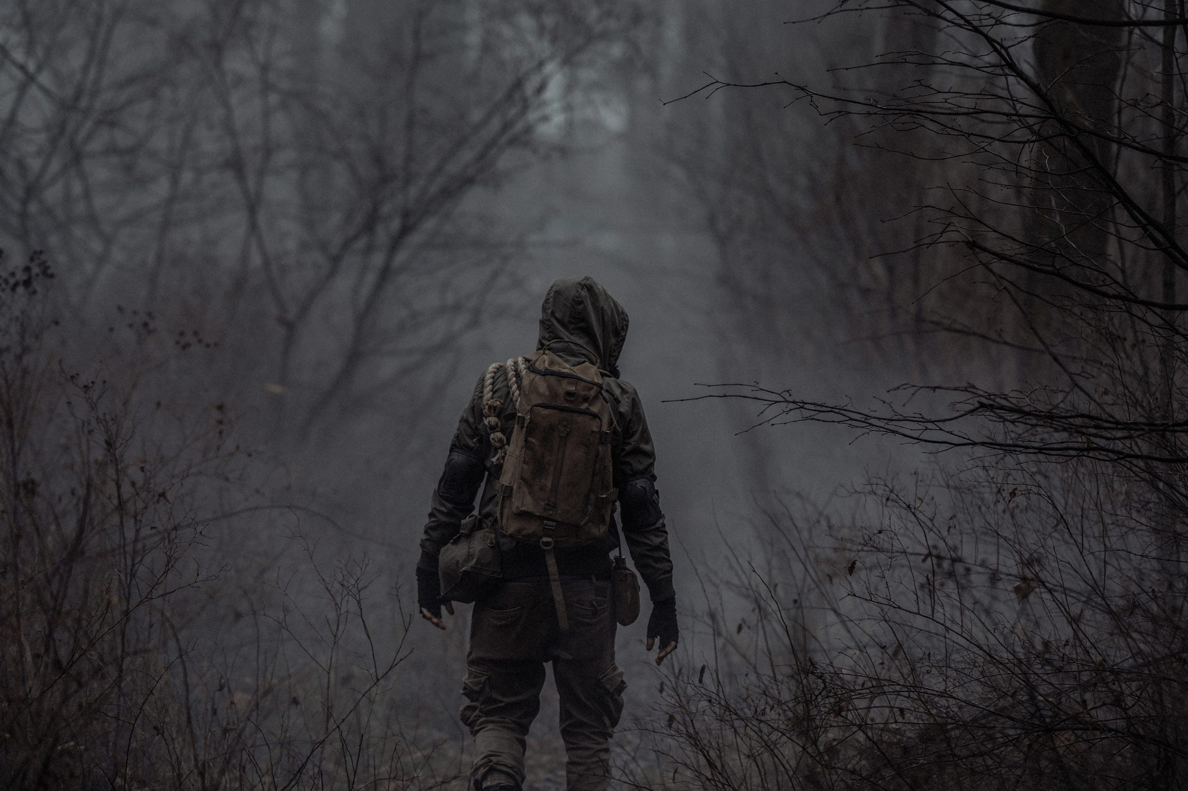Survivor im nebligen Wald